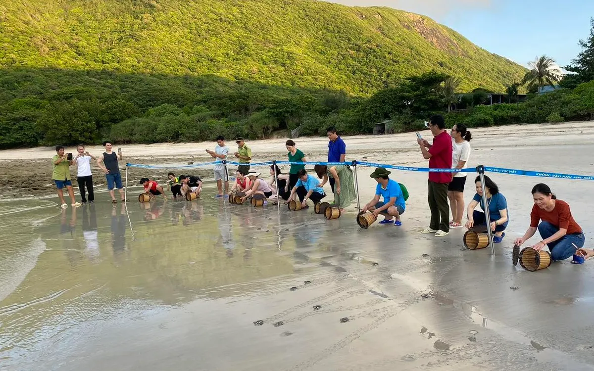 Việt Nam góp mặt vào Top 7 điểm đến trải nghiệm thả rùa biển đáng thử nhất thế giới